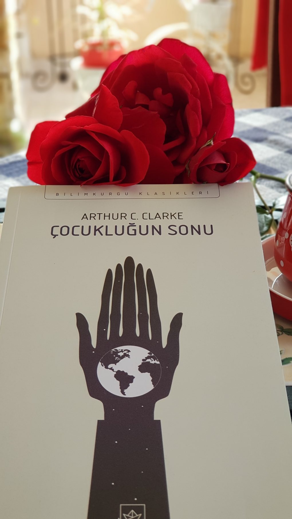 çocukluğun sonu